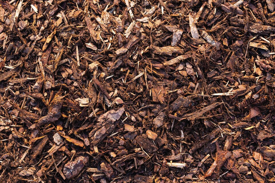 bark mulch