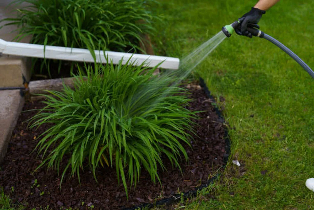 sustainable garden watering